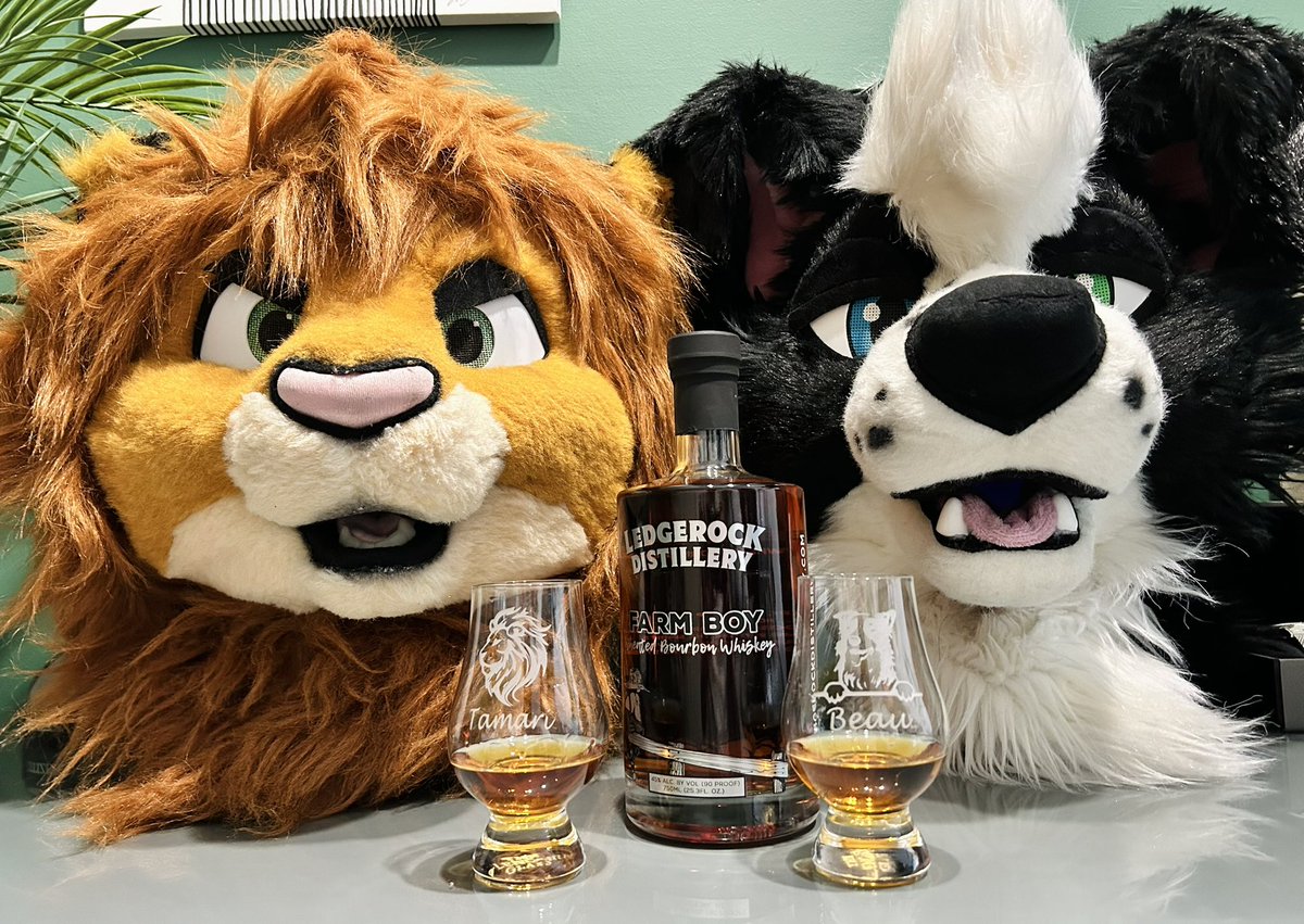 We are back in Wales! 🏴󠁧󠁢󠁷󠁬󠁳󠁿 Was lovely seeing everyone at @LondonFurs yesterday! Time for a whisky 🥰