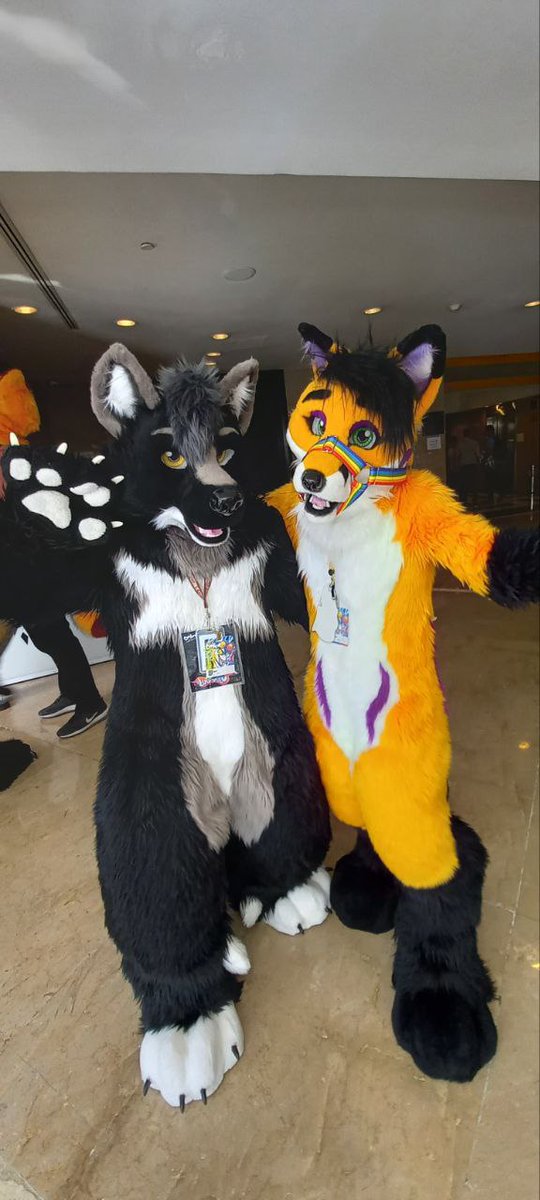 FoxyCV tweet media
