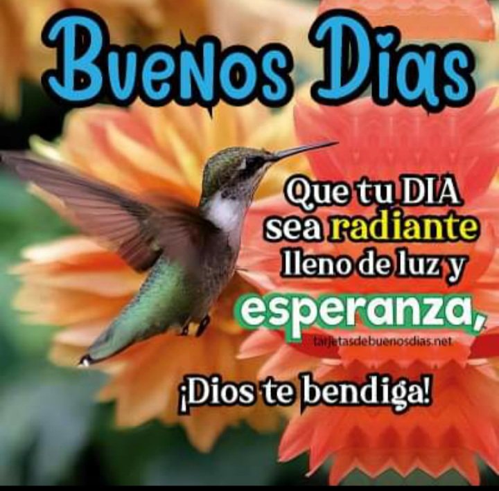 BLANCA ESTELA BERMUDEZ NAVARRETE (@estela_bernav) on Twitter photo 