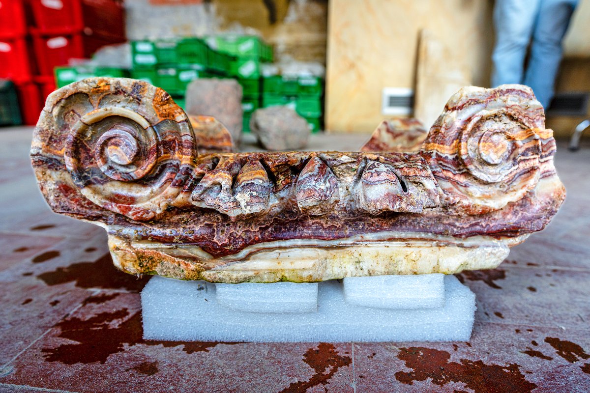 Wow, a dazzling Ionic capital from the newly excavated Theatre of Nero in Vatican City, seemingly carved from rare and colourful banded fluorite! Most intriguingly, Pliny the Elder's description of 'Nero's Theatre across the Tiber where the emperor rehearsed his musical
