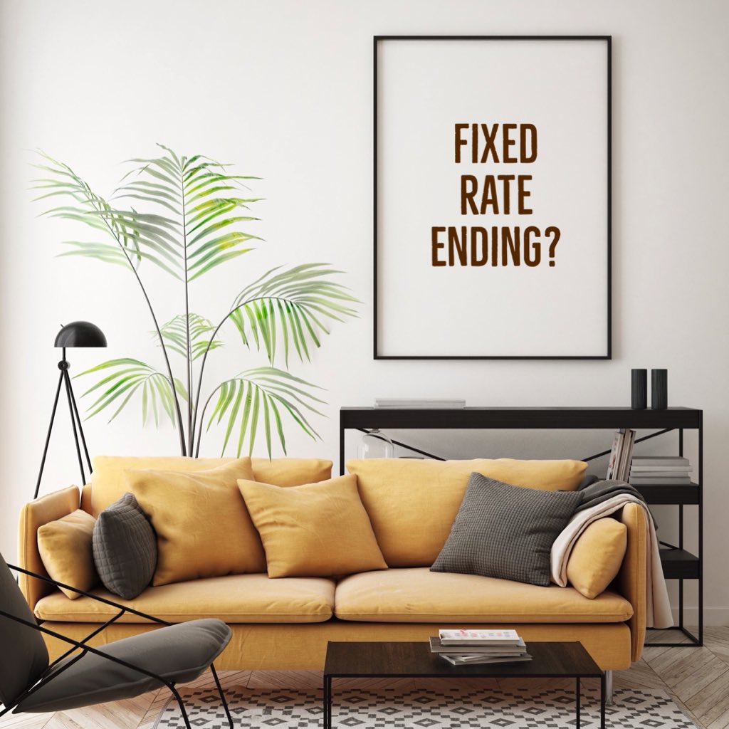 Did you know you can reserve a new fixed rate up to 6 months before your current rate expires?
AND that we monitor that rate so it can be changed to a new lower rate should it reduce before completion.
#FixedRate #mortgagerates #broker