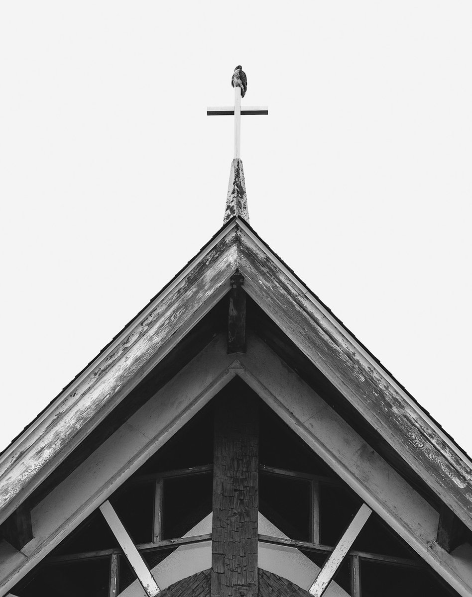 ~ came across a hawk the other day...