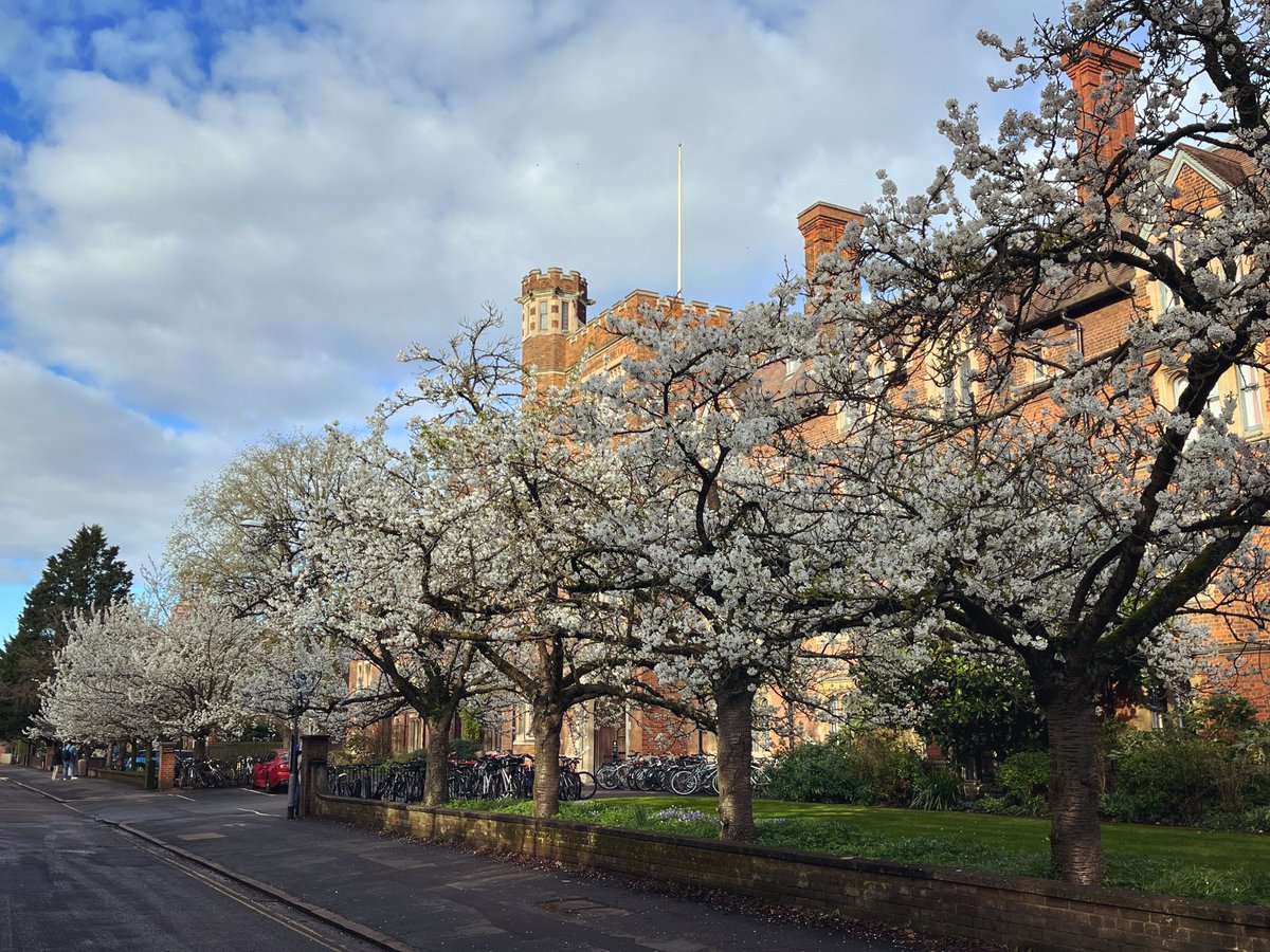 rogermosey's tweet photo. The spring display at the front of @Selwyn1882 @Cambridge_Uni this afternoon. https://t.co/NXnBCqha8h