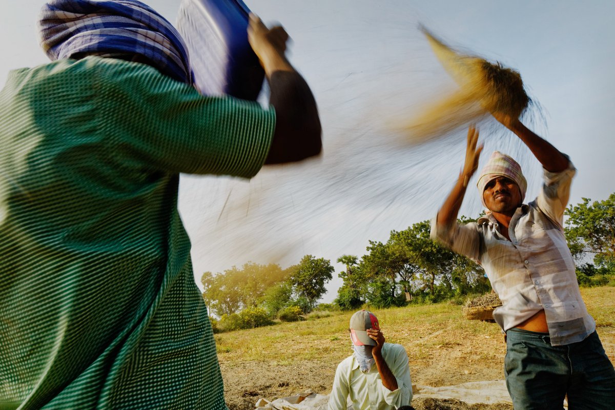 Join me and Adriana Zehbrauskas for an online discussion moderated by Dudley Brooks for the inaugural event of the Social Documentary Network 2024 Festival. The discussion will be on March 19 at 7:30 pm ET on Zoom. RSVP here: socialdocumentary.net/cms/Festival-K…