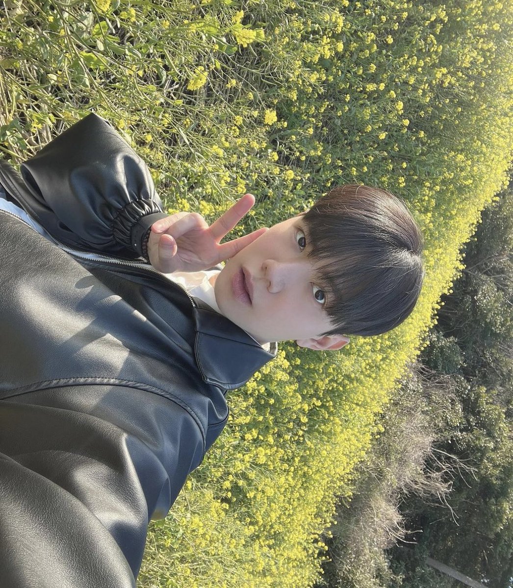 mitcheoji's tweet photo. 240313 ig: joyonggeun_
1/2

capital travel day 1

#joyonggeun #조용근 https://t.co/eEtanH8NNx
