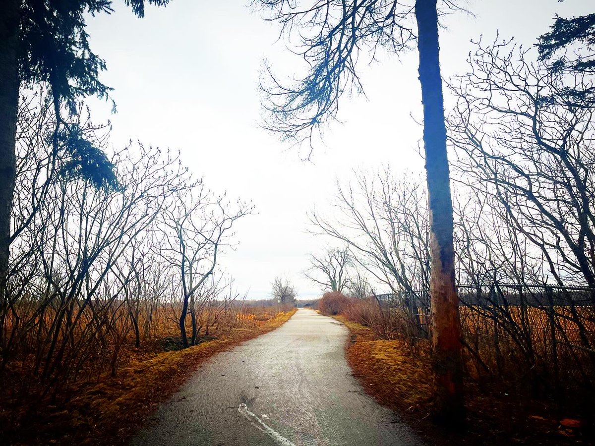 tebovision's tweet photo. #RunningTrails #TrailRunning #NatureRun #RunInspiration #HealthyLifestyle #FitnessMotivation #RunningGoals #52AndFit #FitnessJourney #ActiveLifestyle #FitOver50 #OutdoorFitness #RunningCommunity #FitnessAdventure #NatureLover #RunEverywhere https://t.co/NfGMhWGDXQ