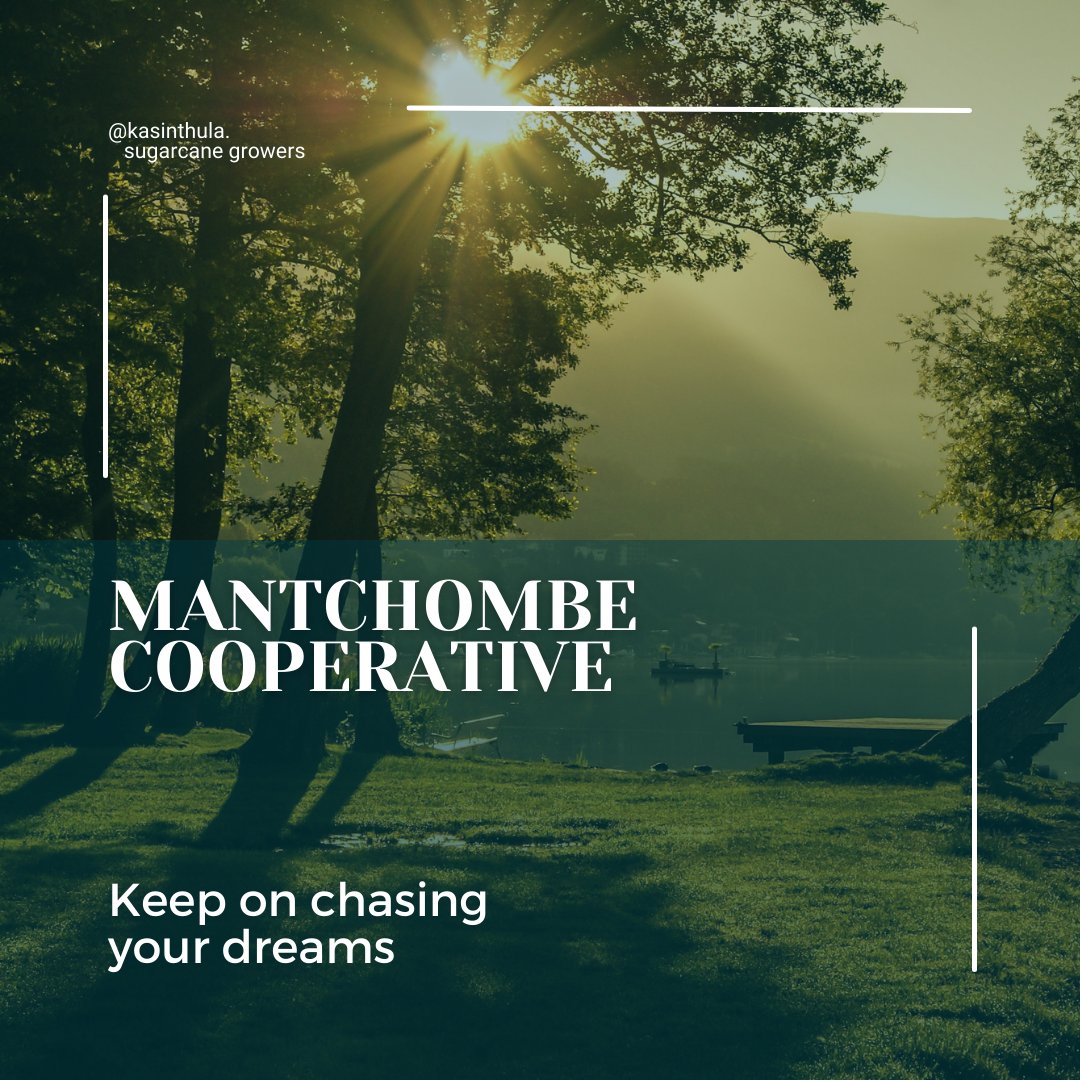 Mantchombe Cooperative is a farmer-owned organization located in Chikwawa district in the area of group village in Chinangwa, T.A Katunga under Makanda E.P.A.