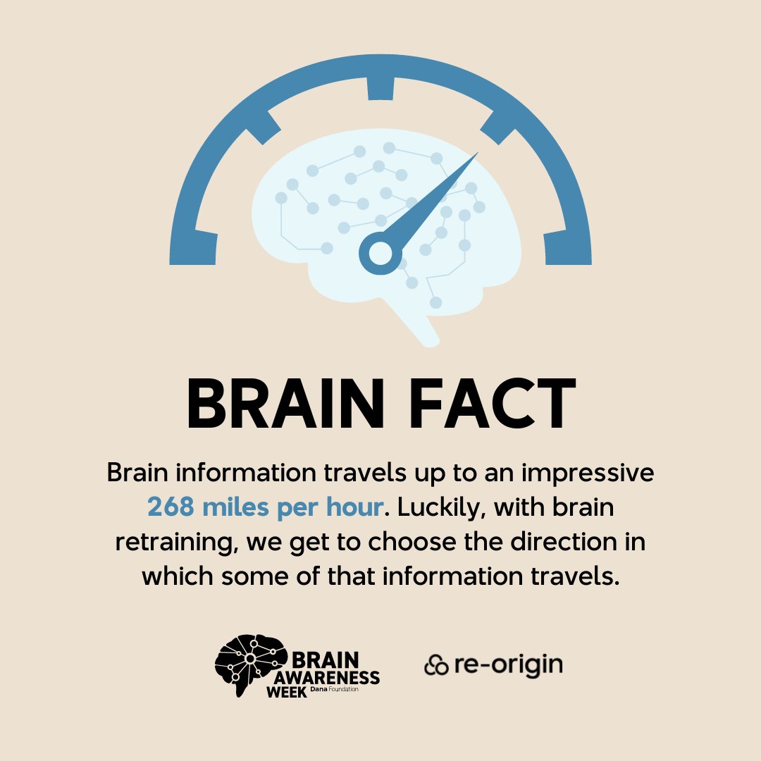 reorigin_'s tweet photo. Brain retraining gives you the ability to direct the signals that your brain sends to your body in ways that contribute to your healing and well-being. 

✨🧠 With awareness and a bit of practice, YOU can pave the pathway for your healing journey.

#BrainAwarenessWeek  #BrainWeek https://t.co/MlIqhijlwF