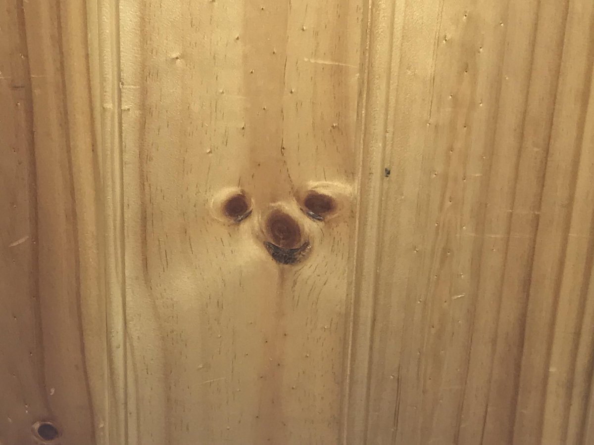 มหาเวทย์ผนึกหมา