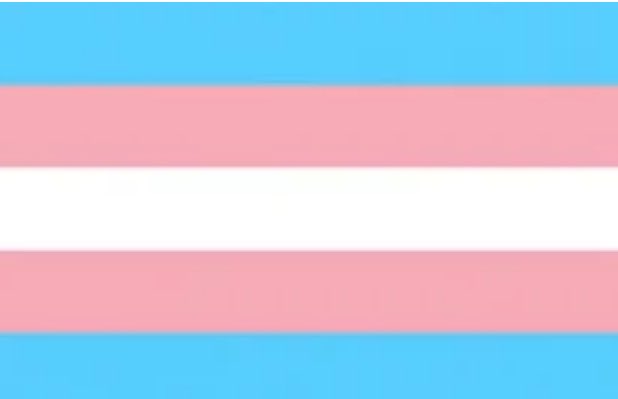 …

Alright, fine, i’m coming out

I’m using she/they pronouns now so please refer to me as such

Also, I’m absolutely terrified to say this