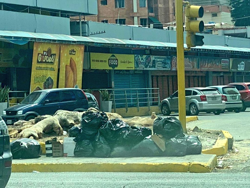 sembramostodos's tweet photo. Podemos transformar nuestros espacios públicos pero para ello debe haber sinergia entre comunidad y gobierno.
Donde debería existir una #BioIsla actualmente es un vertedero, contaminando y dando aspecto terrible al lugar.
Nuestras acciones nos definen como ciudadanos.
#Maracay https://t.co/VHcau3Q8a3