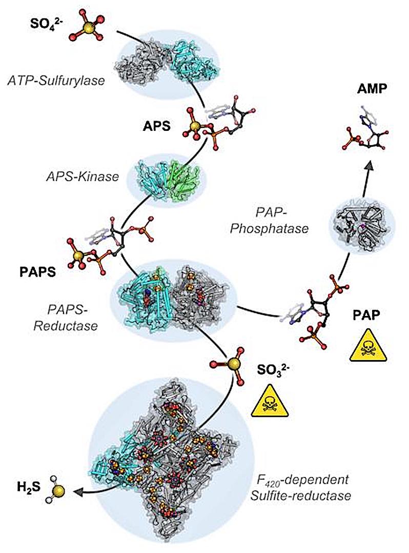 Astrobiology tweet media