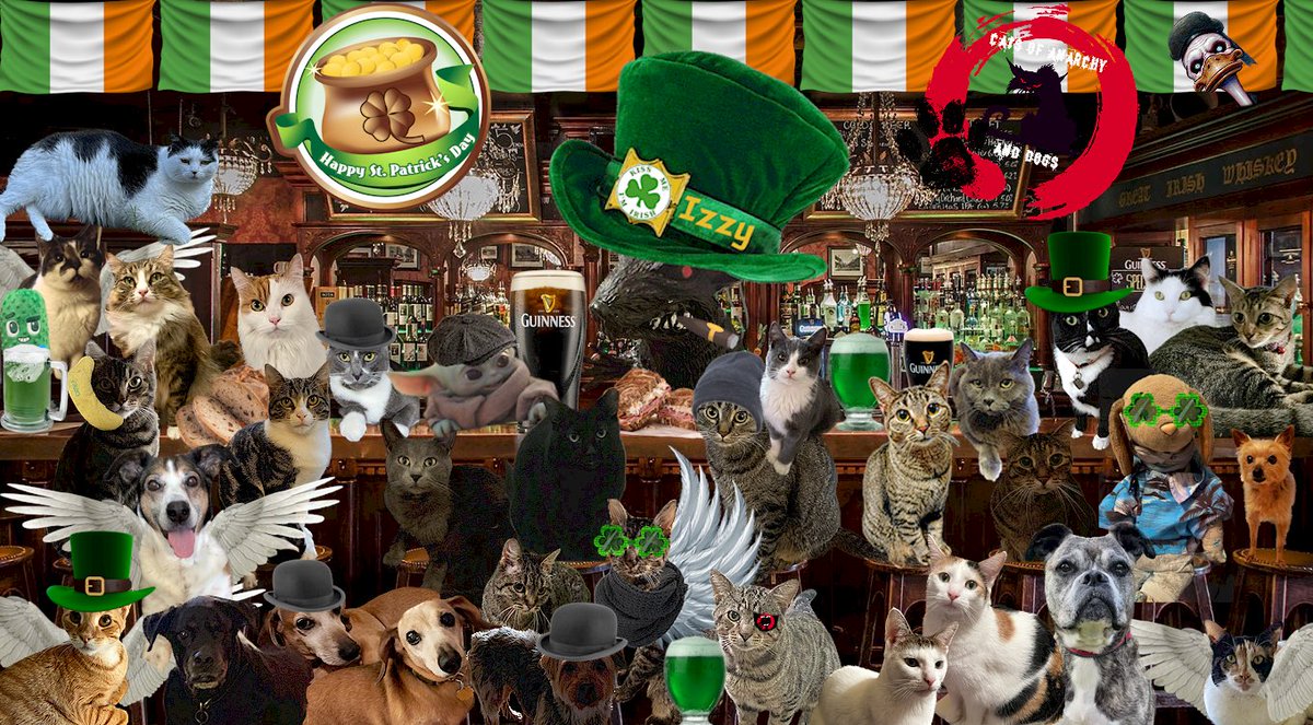 Happy #StPatricksDay 🍀 from all of us at #CatsOfAnarchy HQ!! Have a pawtastic day and stay safe (Psycho Duckman is still out there)! The crew is coming to rescue our leaders Duckman! SOON! 😹😹