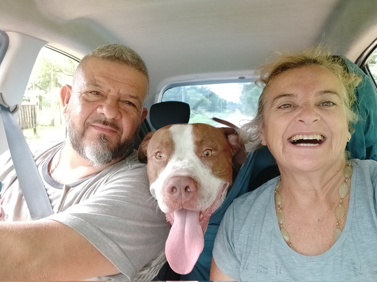 chankelita's tweet photo. Cuando esté enamorada perrunamente no diré nada .... Pero habrá señales 🤗🤗
Nerón ❣️ https://t.co/M9vdHosec0