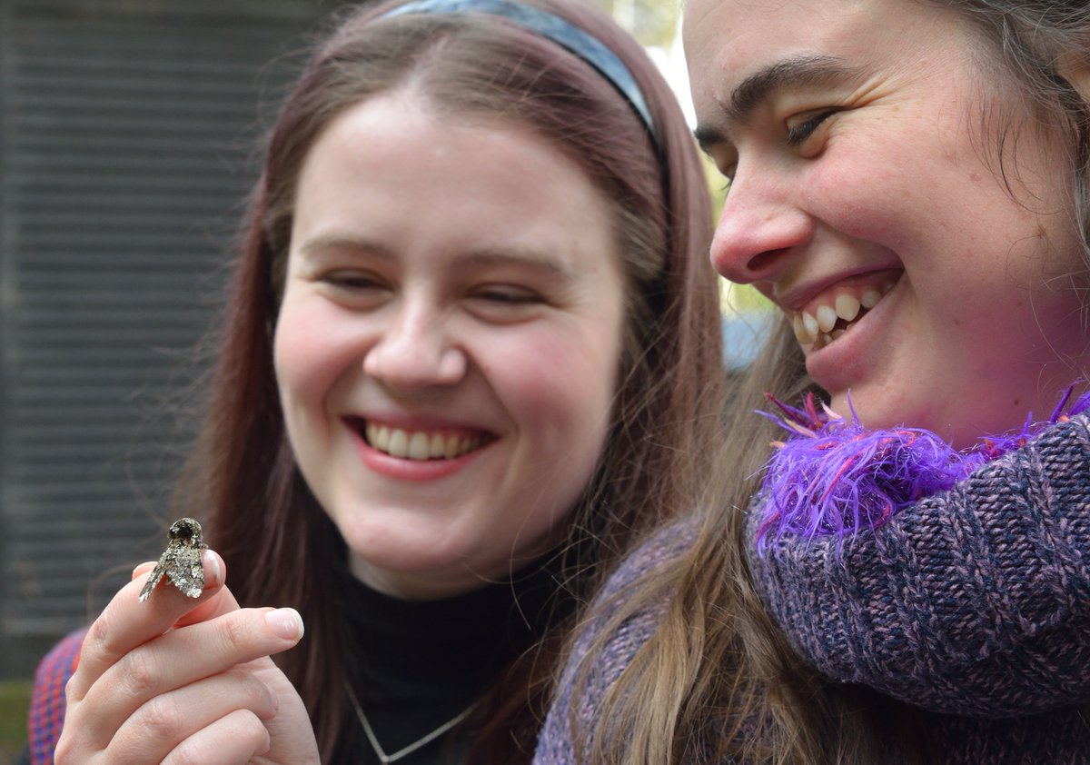 Superb day at the @BC_Scotland Spring Gathering in Perth yesterday with a full house. Great speakers and fascinating moths to see outside. Wonderful to meet so many friends again in person. A huge thank-you to speakers, exhibitors and organisers! @BC_SWScotland @savebutterflies