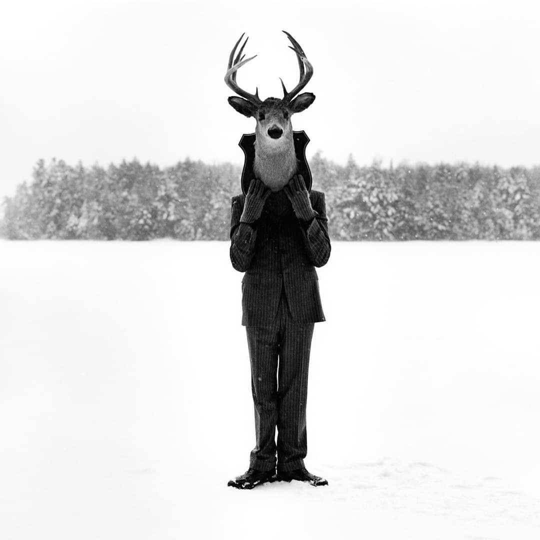 aromamar20's tweet photo. •°**
E até as lágrimas são criaturas felizes!..
*
Photo: Rodney Smith https://t.co/jdDDbxDCt1