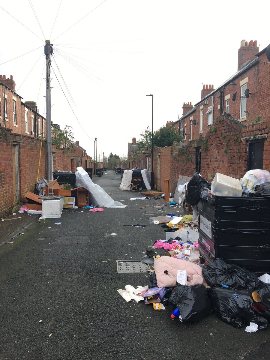 𝘚𝘵𝘦𝘷𝘦 tweet media