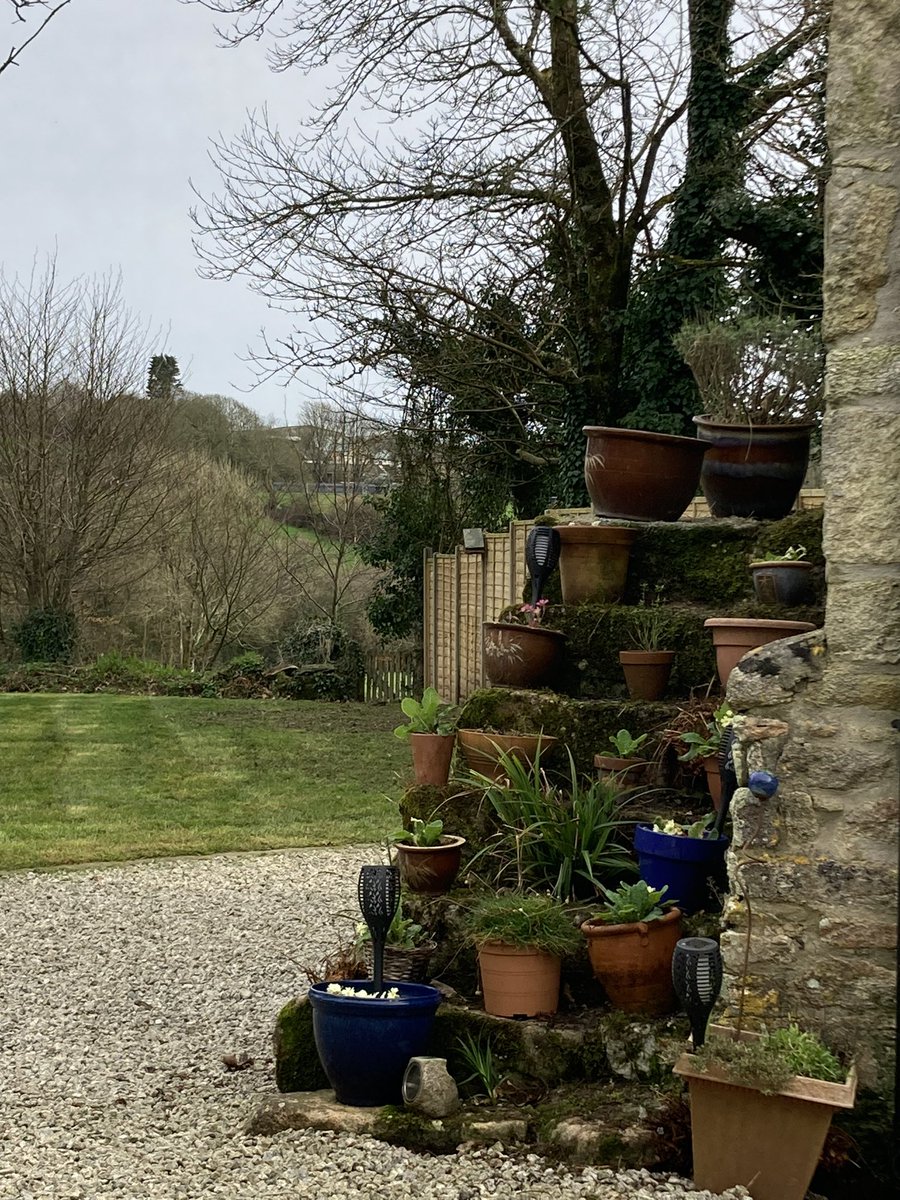 BlaiseCottage's tweet photo. Finally a dry day !!
Made a start on clearing pots and planting primroses, weeding and first grass cut of the year !!#spring #primroses #grasscutting #weeding #dryday #whatnorain #flowers #growinglikeweeds #lawncare😁🏡💛💚🌼🪷🌾🌖 https://t.co/rb27Wo1lCa