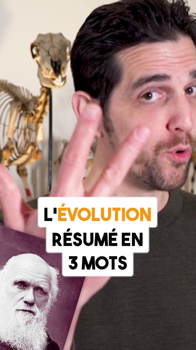 pierrekerner's tweet photo. #Evolesson 10 : Résumer l’évolution en 3️⃣ mots
https://t.co/cGx7JwNTpB
Pour soutenir les #evolessons https://t.co/EBmT55IeZ3 https://t.co/5BxYowjUTV