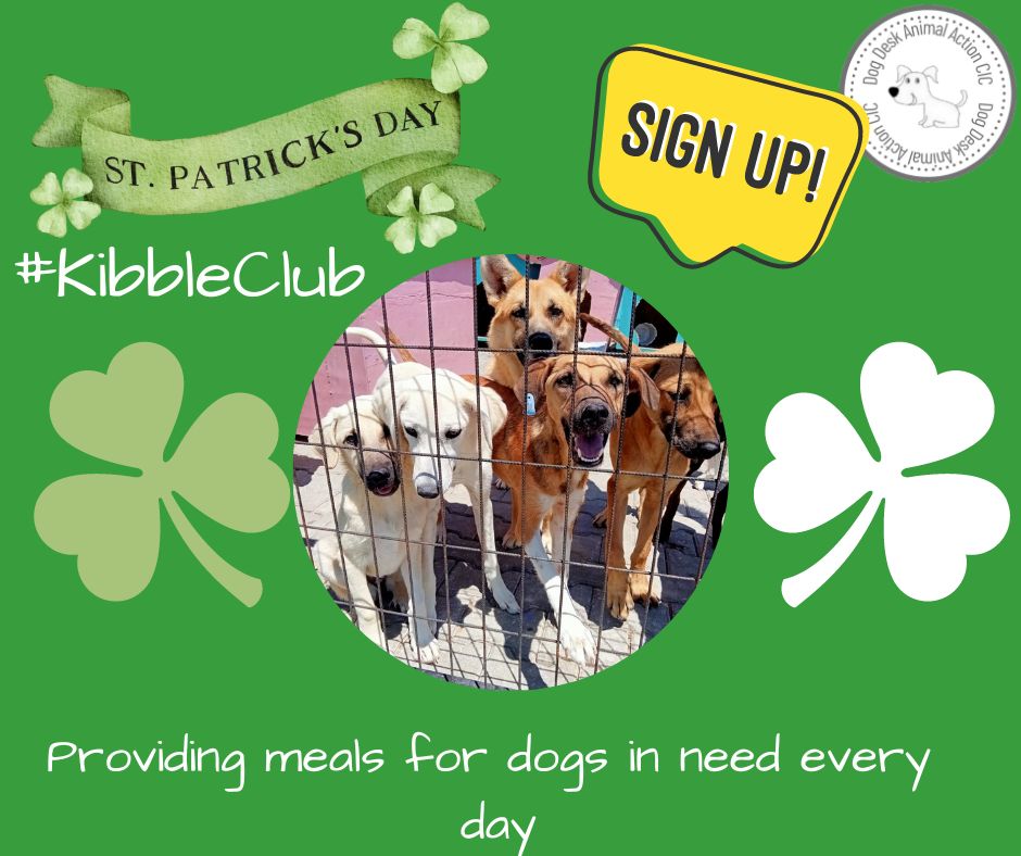 DogDeskAction's tweet image. Can we make the other shamrock go green before the end of #StPatricksDay by getting just one more #KibbleClub sign up 🙏

 Its only £2 a month  donorbox.org/kibble-club     or here paypal.com/paypalme/dogde…
(check monthly)              
Its a pioneering micro philanthropic homeless