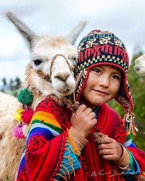 M4lagros's tweet photo. @AlexFebrero_ No sabe lo que es ser feliz por eso habla puras idioteces . https://t.co/lZ78HRVh9V