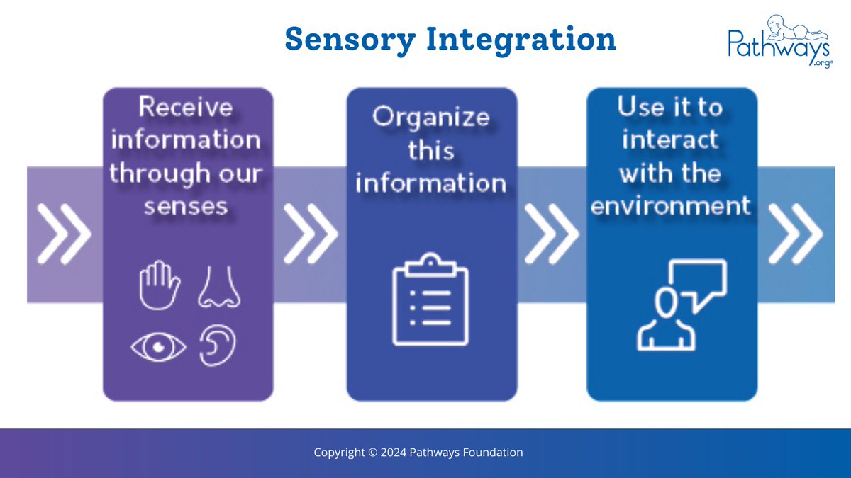 PathwaysOrg's tweet image. #Sensoryintegration is the process by which we receive information through our senses, organize this information, and use it to participate in everyday activities. More examples here: bit.ly/3Pc2eeY #braindevelopment #executivefunction #childdevelopment