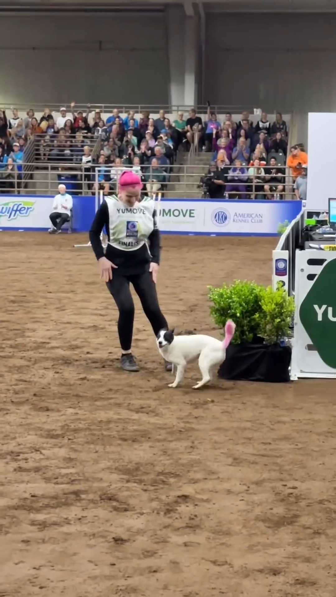 All sales american kennel