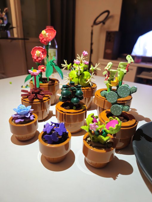 Did these lil lego flowers today 🥰 https://t.co/4NJt5vx1gF<a href="/tag/slay"class="tags"><span>#slay</span></a>