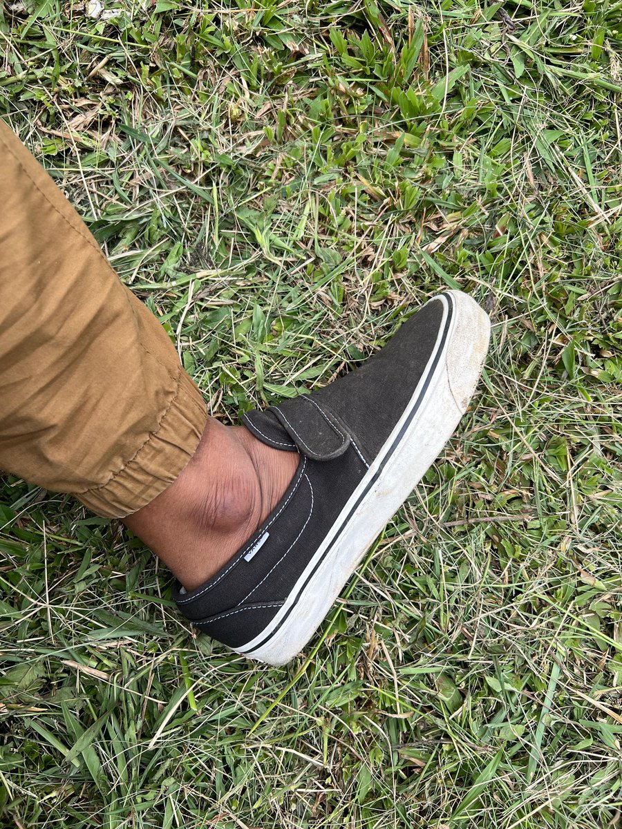 #vans #vansanaheim available at bjo870.com and STORE Now!