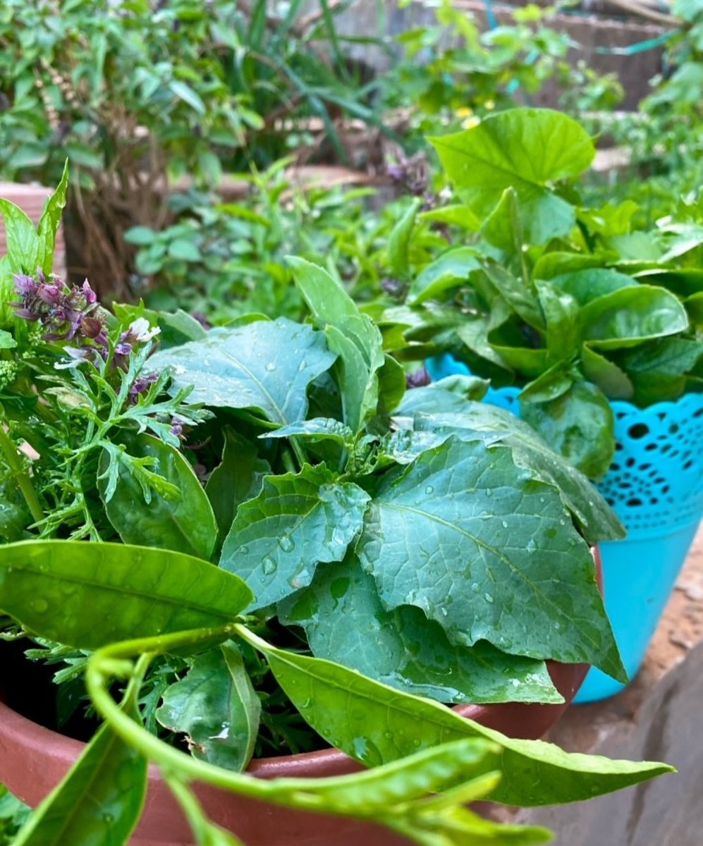 تقبل الله منا ومنكم