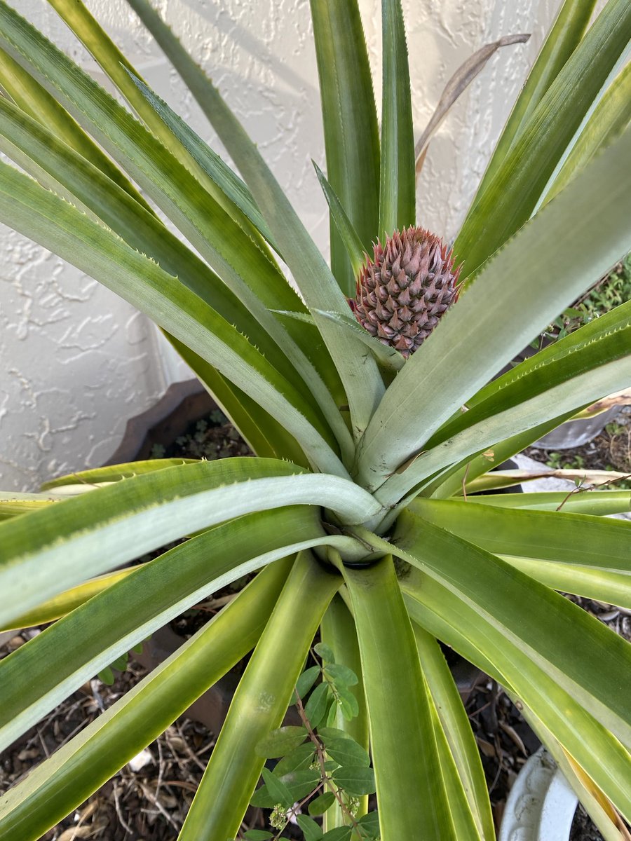 Marie Griffin tweet media