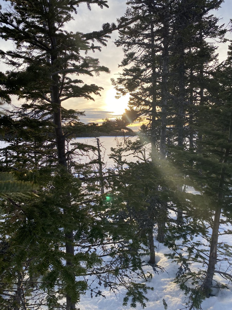 Shelley03261519's tweet photo. A nice way to cap of St Paddyโs day, a walk around Neilโs Pond, some Irish stew made by a co-worker, a nice drink of baileys and bonus holiday Monday for me!!! #irishforaday https://t.co/Xh1Q9Nyfe6