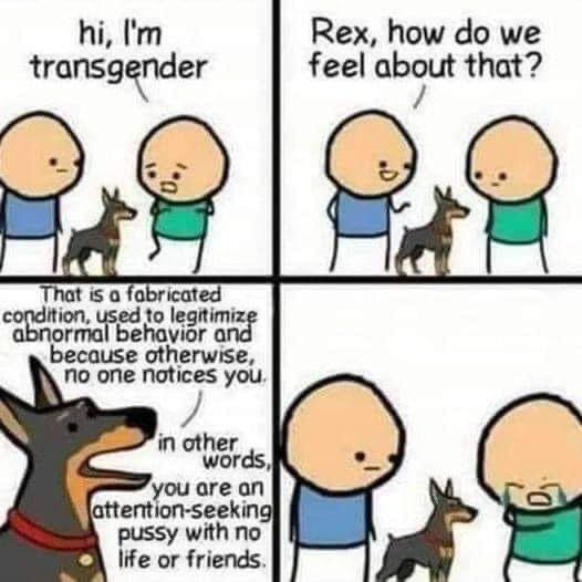 Tara__Hughes's tweet photo. @helenstaniland @Ava_of_Avalon @Freda_Media @jk_rowling You’re absolutely right Helen.
We’ve all had enough of this #Genderwang 💩 and the harms it does to women, children, and vulnerable people.
#SickOfThisShit
#MenPretendingToBeWomenAreMen #MenInWomanfaceAreMen #ThisIsTrans #TransFacts https://t.co/xbpTUUWbvm