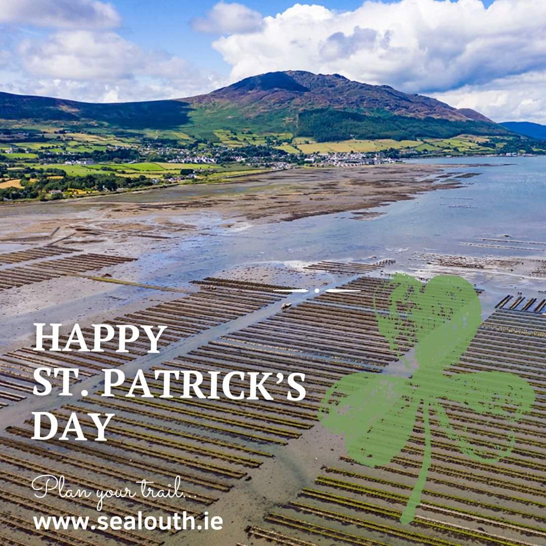 Happy St Patrick’s Day from the Emerald Isle ☘ Discover the lush green landscapes and coastal views along #sealouth's #scenicseafoodtrail this long weekend 💚🌊☘️ #stpatricksday #visitlouth #trlt #thisisireland #keepdiscovering #louthchat #countylouth
