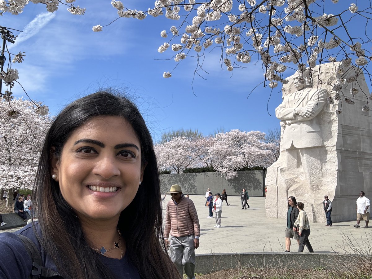 In the right place at the right time! Perfect day in #WashingtonDC for #PeakBloom! #cherryblossom 🌸#bloomwatch 🌸