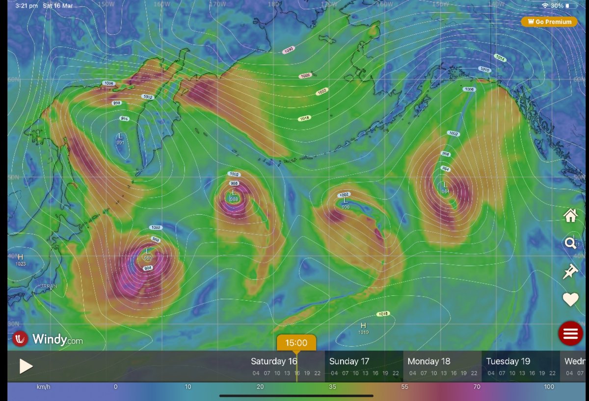 💧MarkDoyle tweet media