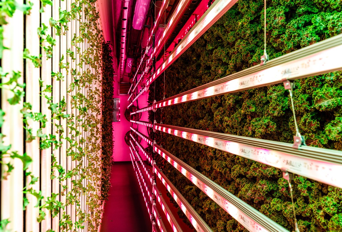 Modular Farms AU tweet media