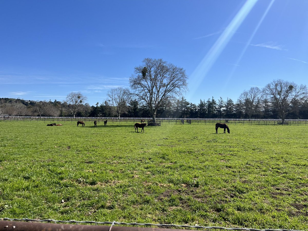 Beautiful Sunday morning here at Eclipse.  ☘️☘️