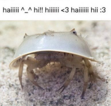 EvilLargeBug's tweet photo. https://t.co/s6dB6KkpA1