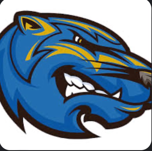 PaulWalthallJr's tweet photo. I am grateful and blessed to receive my 2nd offer from Brescia University @RueMiles @BresciaMBB https://t.co/GN6zxXRaVQ