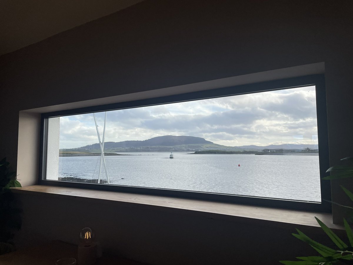 Ciara Quill ☘️🇮🇪🇫🇷🇩🇪🇪🇺 💚💛 tweet media