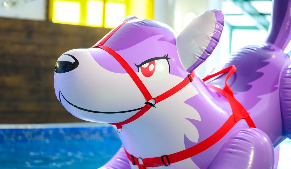 Have a nice time with such a cute wolf in the pool &gt;~&lt; 💜

🐾: <a href="/PuffyPawsToys/">PuffyPaws</a> 
✨: <a href="/InflateThemAll/">Inflate Them All!</a> 

     #SqueakySaturday