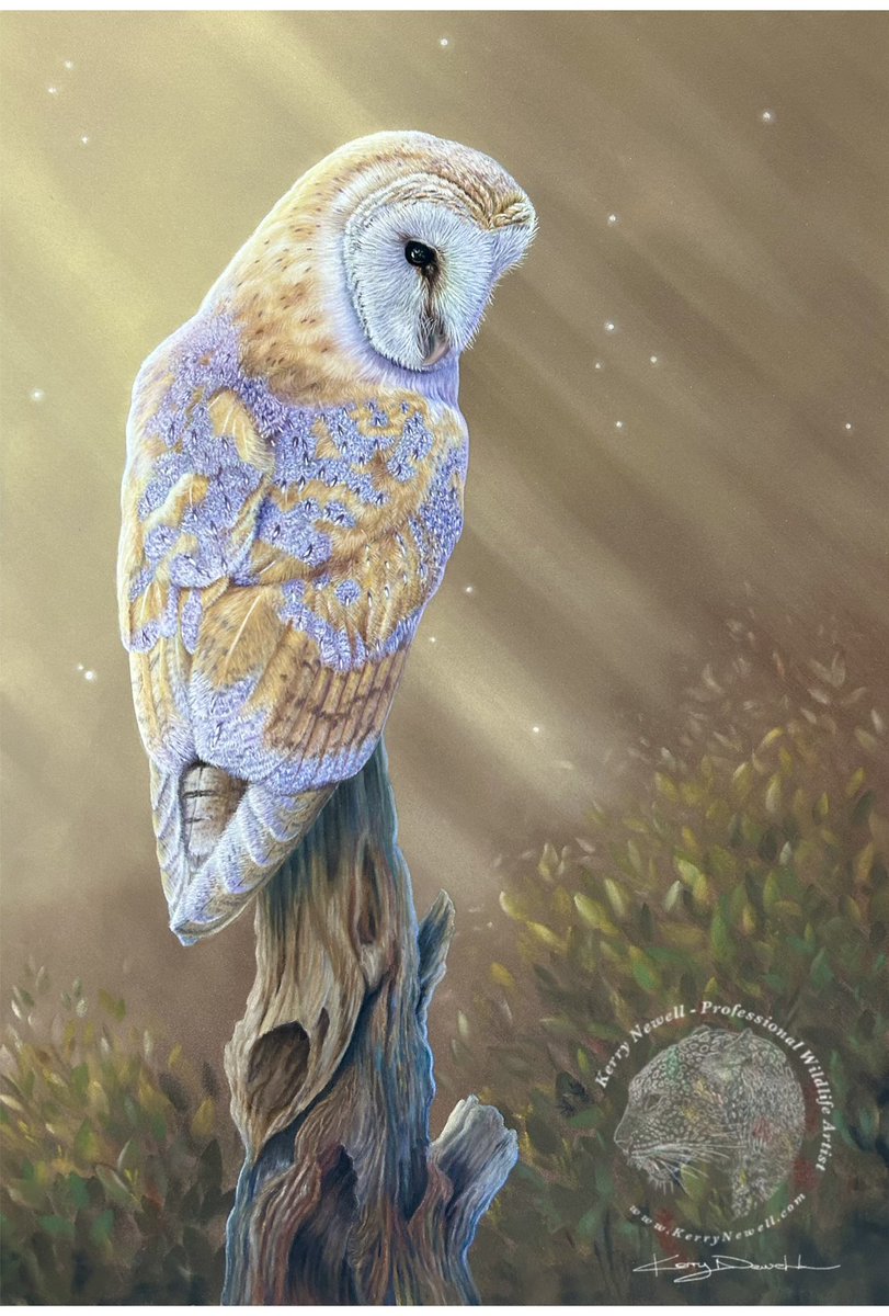 🎨 Barn Owl framed and now on my studio wall (for now lol) xXx