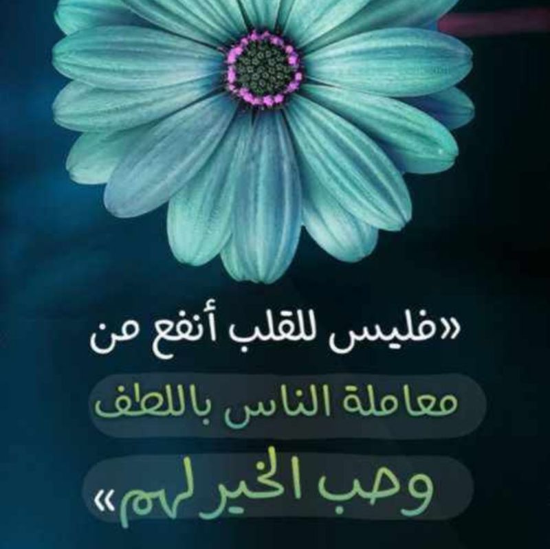 PMF_INVESTORS's tweet photo. ليعلم من لا يعلم
عن #الشركه_الاسلاميه_للاستثمار_الخليجي 
وتخضع الآن لإشراف هيئة السوق المالية
@SaudiCMA
أن {تتولى مع الهيئة ومالكها الاعلان رسميا لعملاءها على عناوينهم ووسائل الاعلام المرئية والمقروءة والتواصل الاجتماعي} عن إعادة اموالهم المحجوزة من ٢٠١٦ - الآن
@PMF_INVESTORS
. https://t.co/ybHZxGbWPy