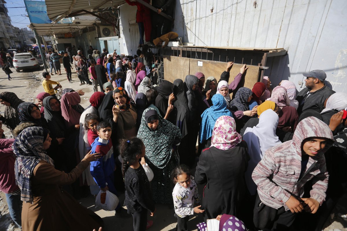 #Gaza: La población ya ha empezado a morir de hambre en el norte y cada día que pasa su sufrimiento y su desesperación aumenta por conseguir alimentos. Por favor, ayúdanos a seguir distribuyendo alimentos en la Franja 👉 ayudagaza.com