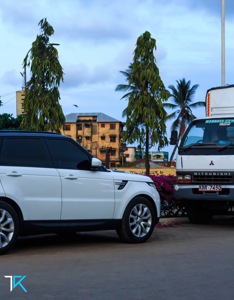 Pick one hustle

1. Chauffeur-driven Range Rover for VIPs

2. Hauling cargo with an FH