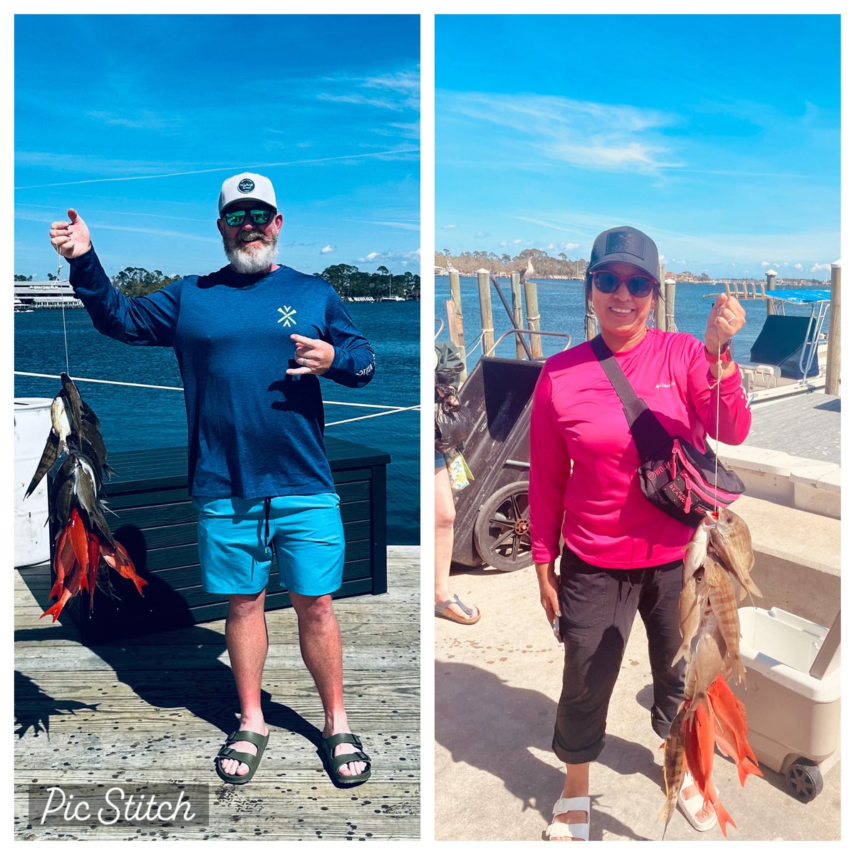 alexwhitt1's tweet photo. Didn’t catch any monsters but these will be good eatin! ⁦⁦@CelesstaM⁩ https://t.co/COkHSgInw2