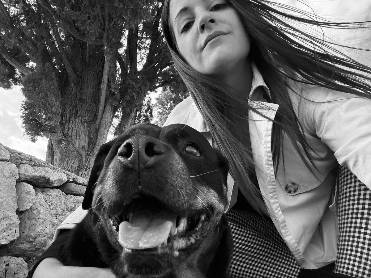 Noa tweet media