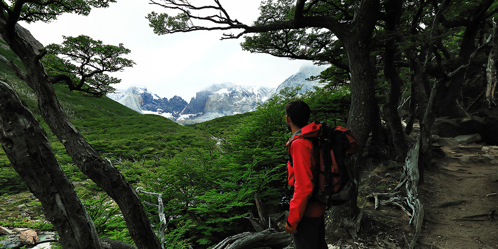 TorresPatagonia's tweet photo. The #WCircuit will make you fall in love with Chile’s #Patagonia. Learn more about this memorable hike here: https://t.co/jNmuAbgUKh https://t.co/sIWvLv7lV8