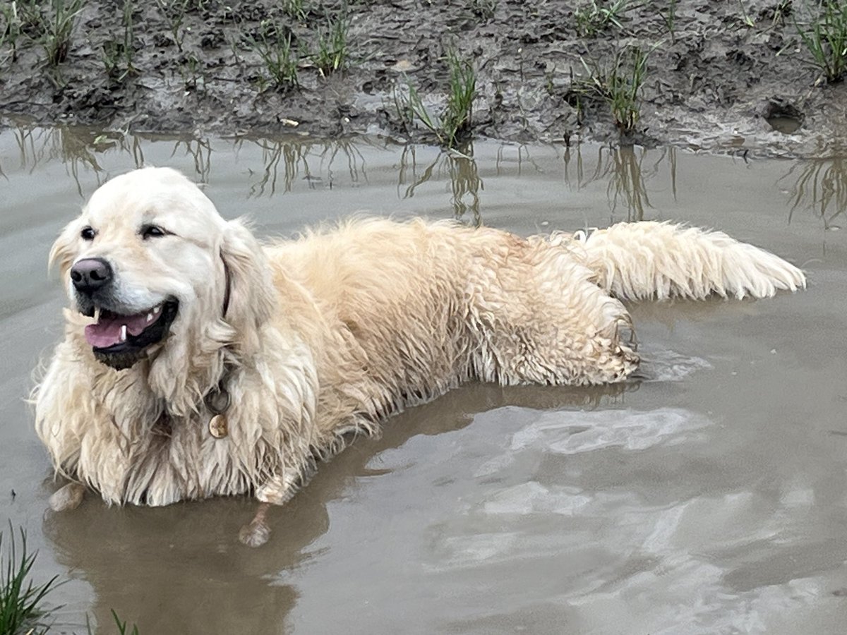 Dr Emma Kell FCCT tweet media